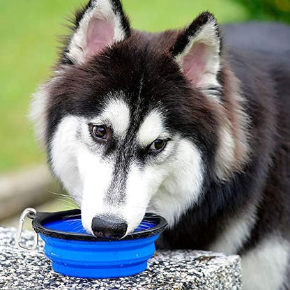 Extra Large Collapsible Dog Bowls 2 Pack, 34Oz Foldable Dog Travel Bowl, Portable Dog Water Food Bowl with Carabiner, Pet Feeding Cup Dish for Traveling, Walking, Parking