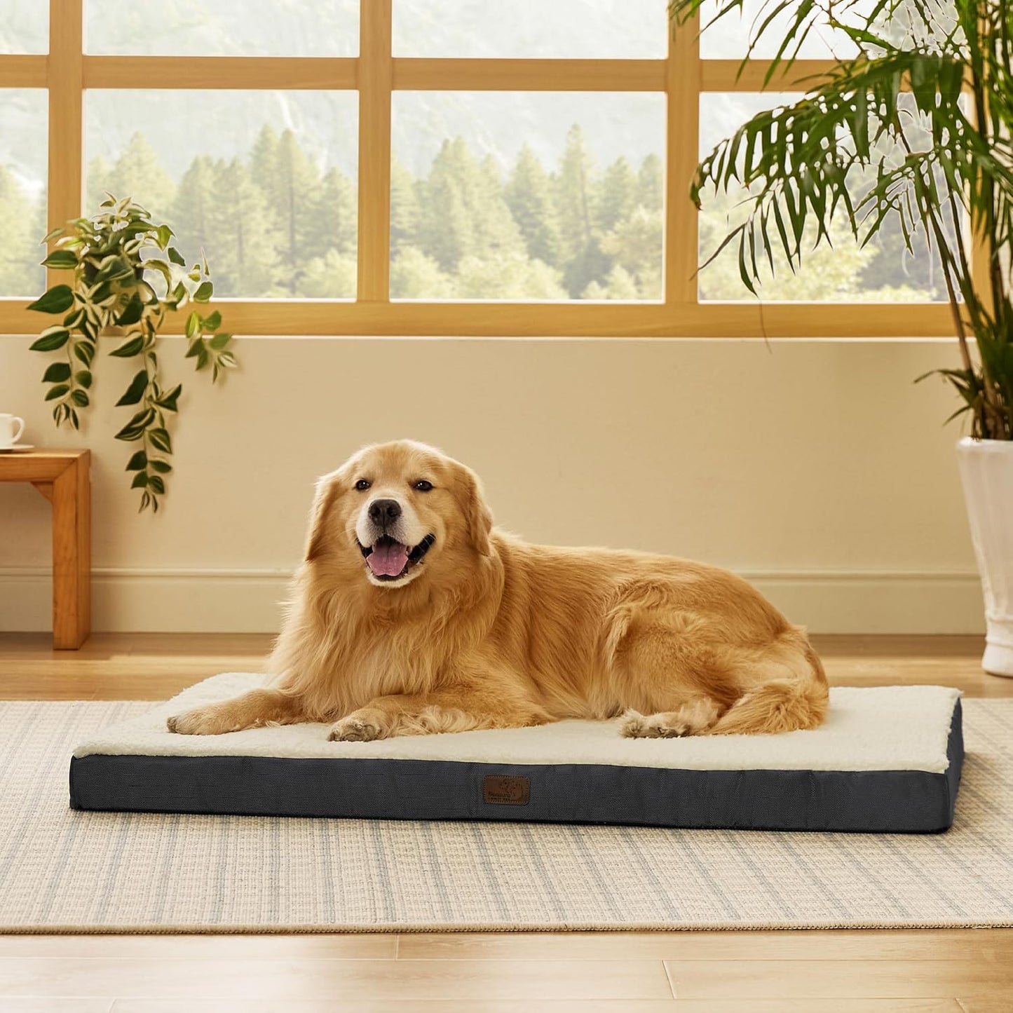 Bedsure Large Dog Bed for Large Dogs up to 75Lbs - Big Orthopedic Dog Beds with Removable Washable Cover, Egg Crate Foam Pet Bed Mat, Grey