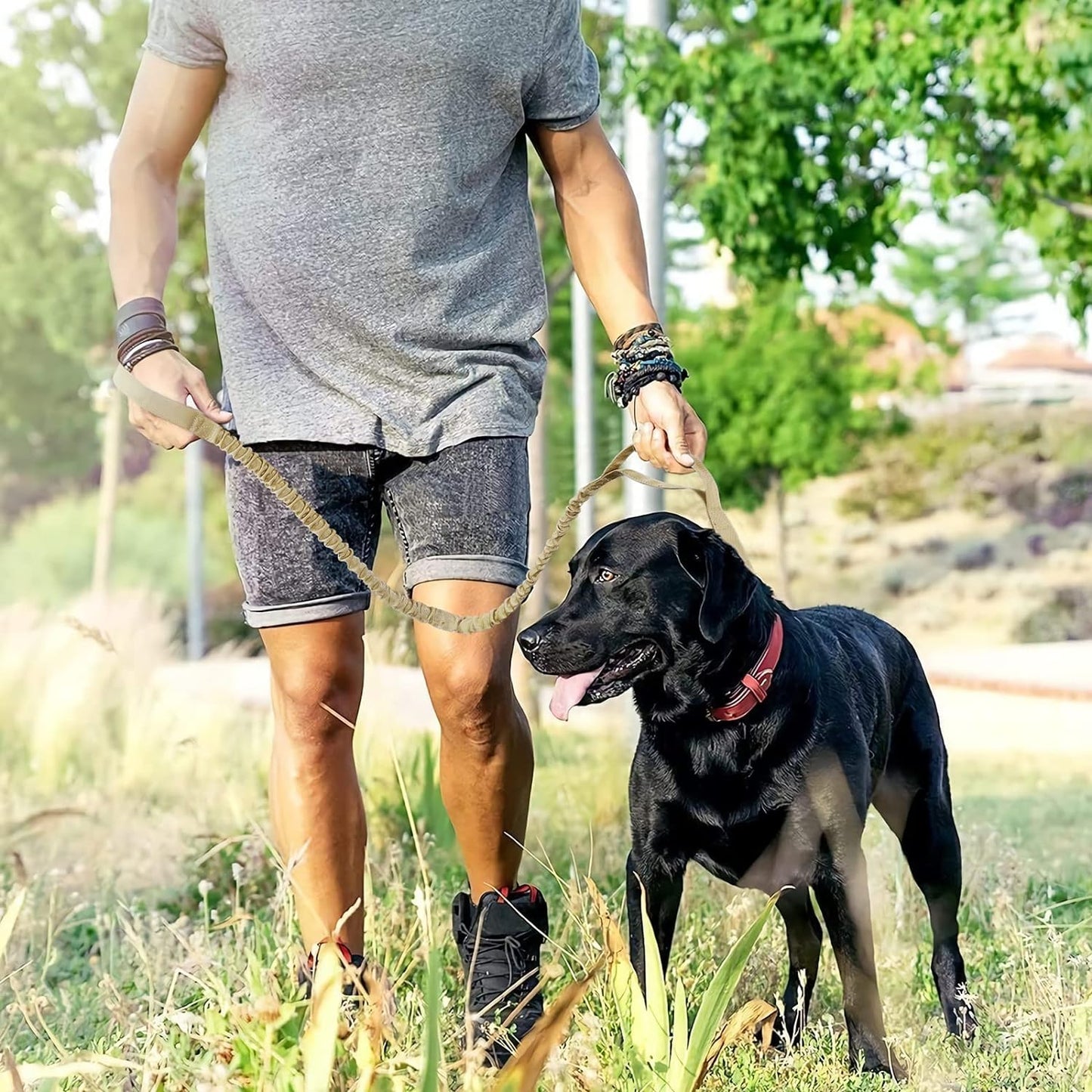 Bungee Dog Leash, Improved Dog Safety & Comfort